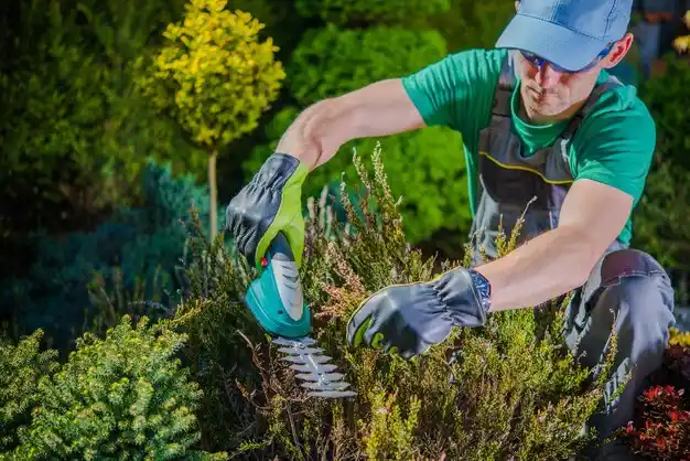 landscaping services Newport